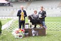 Winner Dog